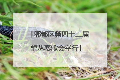 郫都区第四十二届望丛赛歌会举行