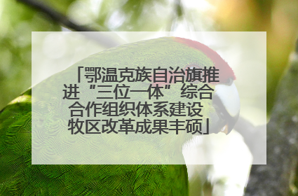鄂温克族自治旗推进“三位一体”综合合作组织体系建设 牧区改革成果丰硕