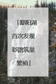鄱阳湖首次发现彩鹮筑巢繁殖