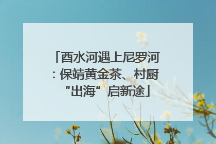 酉水河遇上尼罗河：保靖黄金茶、村厨“出海”启新途