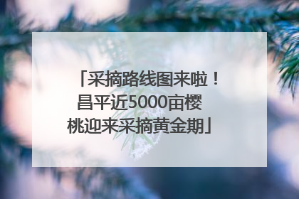 采摘路线图来啦！昌平近5000亩樱桃迎来采摘黄金期
