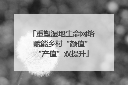 重塑湿地生命网络 赋能乡村“颜值”“产值”双提升