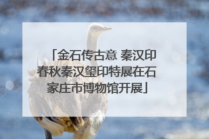 金石传古意 秦汉印春秋秦汉玺印特展在石家庄市博物馆开展