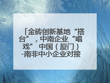 金砖创新基地“搭台”，中南企业“唱戏” 中国（厦门）-南非中小企业对接会在厦举办