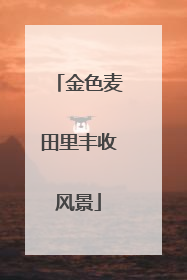 金色麦田里丰收风景