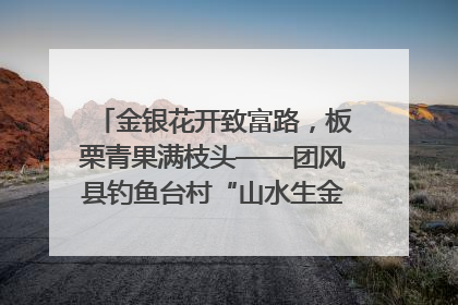 金银花开致富路，板栗青果满枝头——团风县钓鱼台村“山水生金”谱写共富新篇章