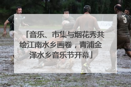音乐、市集与烟花秀共绘江南水乡画卷，青浦金泽水乡音乐节开幕