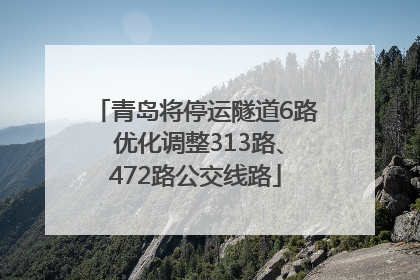 青岛将停运隧道6路 优化调整313路、472路公交线路