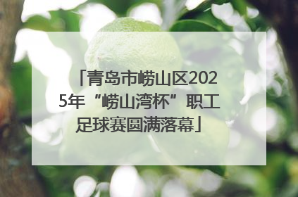 青岛市崂山区2025年“崂山湾杯”职工足球赛圆满落幕