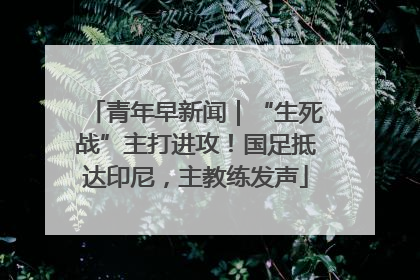 青年早新闻｜“生死战”主打进攻！国足抵达印尼，主教练发声