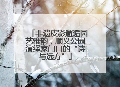 非遗皮影邂逅园艺雅韵，顺义公园演绎家门口的“诗与远方”
