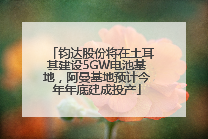 钧达股份将在土耳其建设5GW电池基地，阿曼基地预计今年年底建成投产