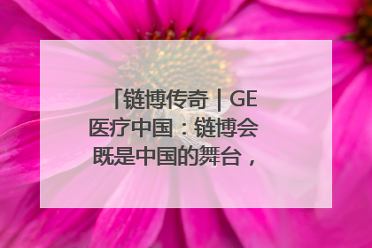 链博传奇｜GE医疗中国：链博会既是中国的舞台，也是世界的橱窗