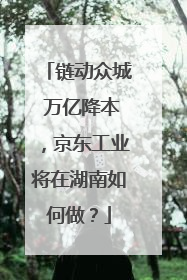 链动众城 万亿降本，京东工业将在湖南如何做？
