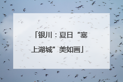 银川：夏日“塞上湖城”美如画