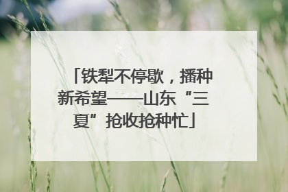 铁犁不停歇，播种新希望——山东“三夏”抢收抢种忙