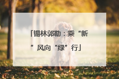 锡林郭勒：乘“新”风向“绿”行