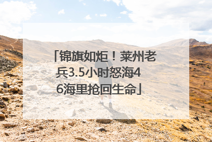 锦旗如炬！莱州老兵3.5小时怒海46海里抢回生命
