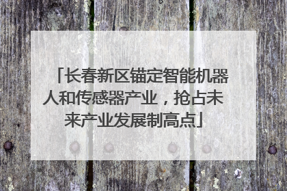 长春新区锚定智能机器人和传感器产业，抢占未来产业发展制高点