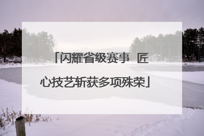 闪耀省级赛事  匠心技艺斩获多项殊荣