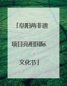 阜阳两非遗项目亮相国际文化节