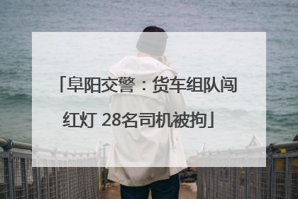 阜阳交警:货车组队闯红灯 28名司机被拘