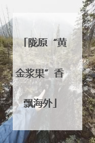 陇原“黄金浆果”香飘海外