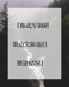 陈武军调研重点文旅项目推进情况