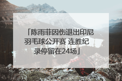 陈雨菲因伤退出印尼羽毛球公开赛 连胜纪录停留在24场
