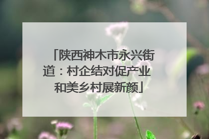 陕西神木市永兴街道：村企结对促产业 和美乡村展新颜