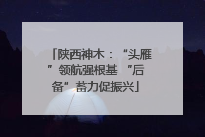 陕西神木：“头雁”领航强根基 “后备”蓄力促振兴