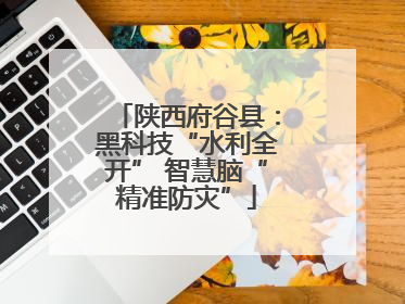 陕西府谷县：黑科技“水利全开” 智慧脑“精准防灾”
