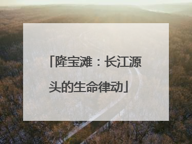 隆宝滩：长江源头的生命律动