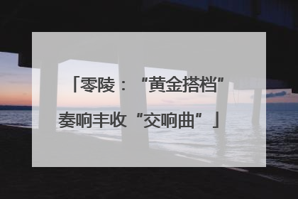 零陵：“黄金搭档”奏响丰收“交响曲”