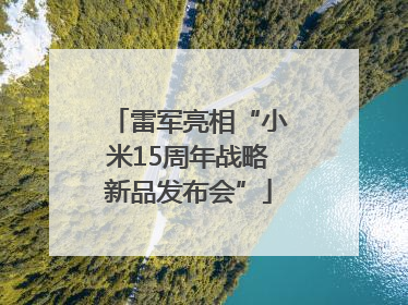 雷军亮相“小米15周年战略新品发布会”