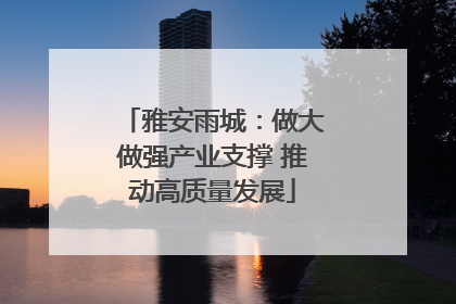 雅安雨城：做大做强产业支撑 推动高质量发展