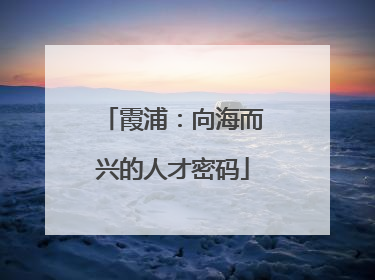 霞浦：向海而兴的人才密码