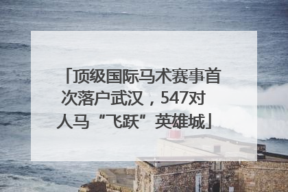 顶级国际马术赛事首次落户武汉，547对人马“飞跃”英雄城