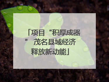项目“积厚成器” 茂名县域经济释放新动能