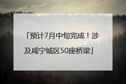预计7月中旬完成！涉及咸宁城区50座桥梁