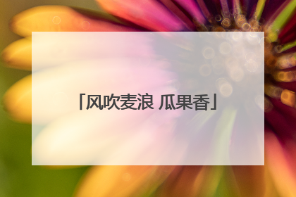 风吹麦浪 瓜果香