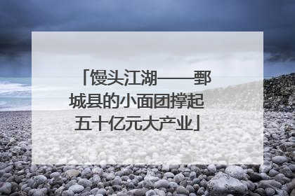 馒头江湖——鄄城县的小面团撑起五十亿元大产业