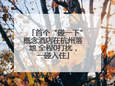 首个“碰一下”概念酒店在杭州落地 全程0打扰，一碰入住