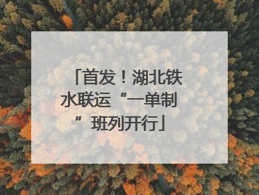 首发！湖北铁水联运“一单制”班列开行