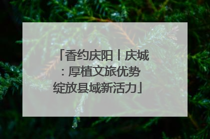 香约庆阳丨庆城：厚植文旅优势 绽放县域新活力