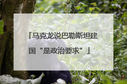 马克龙说巴勒斯坦建国“是政治要求”