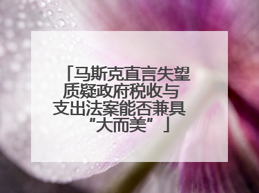马斯克直言失望 质疑政府税收与支出法案能否兼具“大而美”
