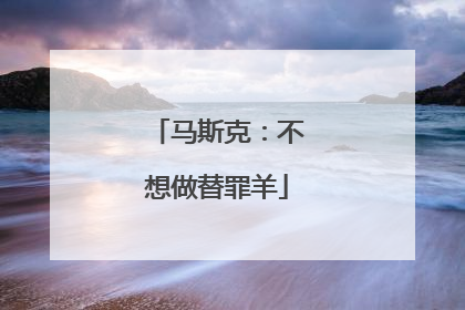 马斯克：不想做替罪羊