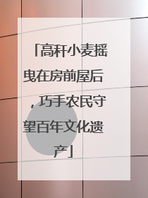 高秆小麦摇曳在房前屋后，巧手农民守望百年文化遗产