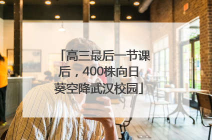 高三最后一节课后,400株向日葵空降武汉校园